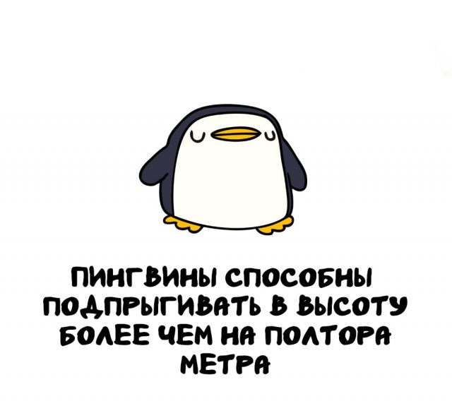 ,     ?