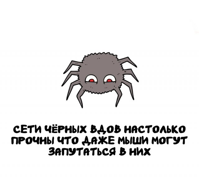 ,     ?
