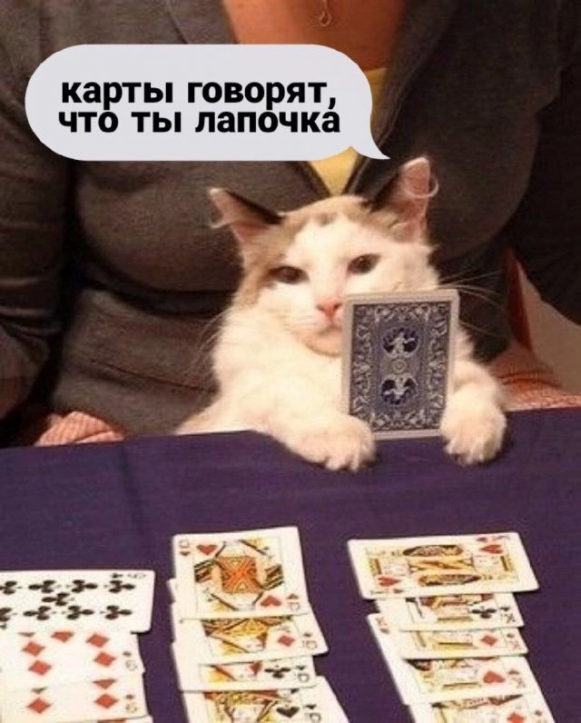 ���� ���������� �� � ����, � � �����