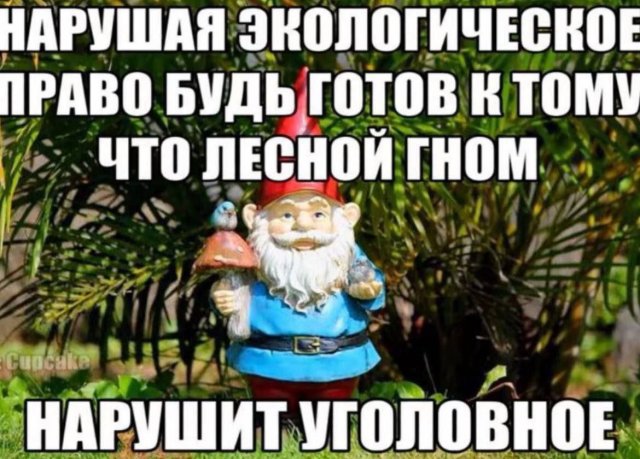 ���� ���������� �� � ����, � � �����