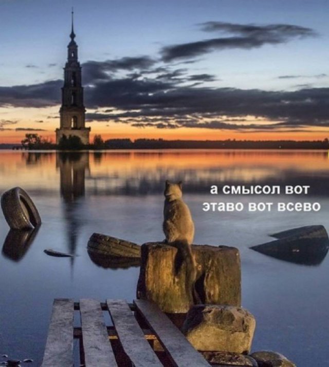 ���� ���������� �� � ����, � � �����