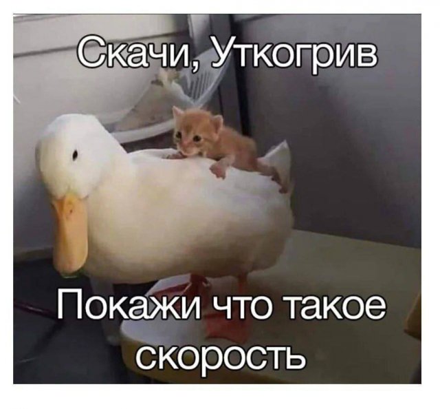 ���� ���������� �� � ����, � � �����