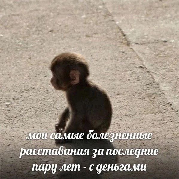 ���� ���������� �� � ����, � � �����