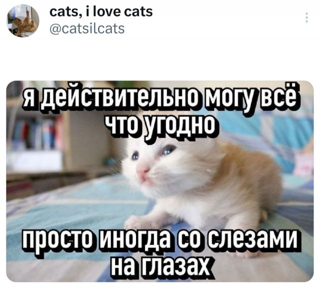   -