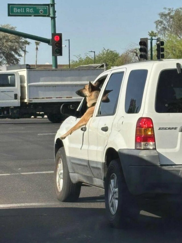 ���������� ��������