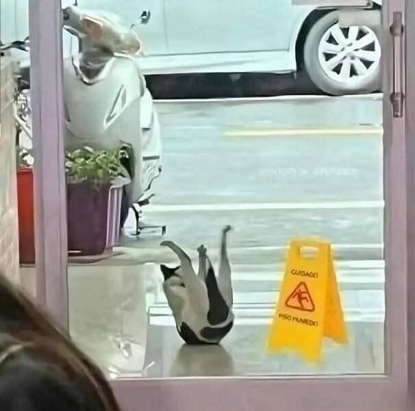 ���������� ��������