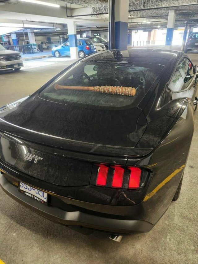 ���������� ��������