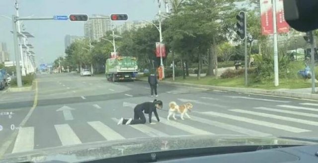 ���������� ��������