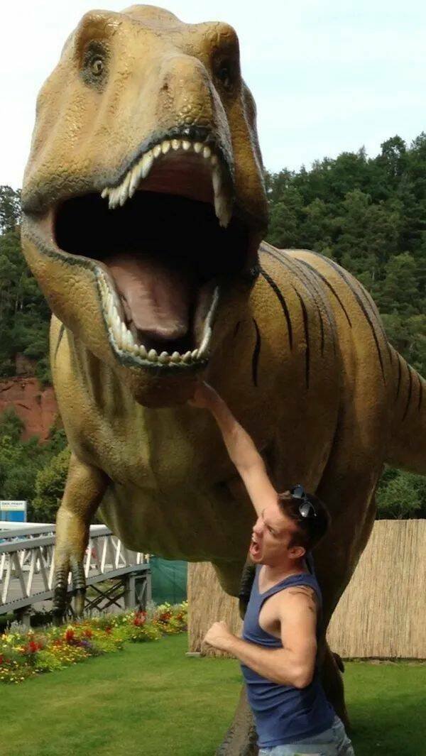 ���������� ��������