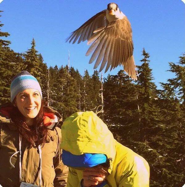 ���������� ��������