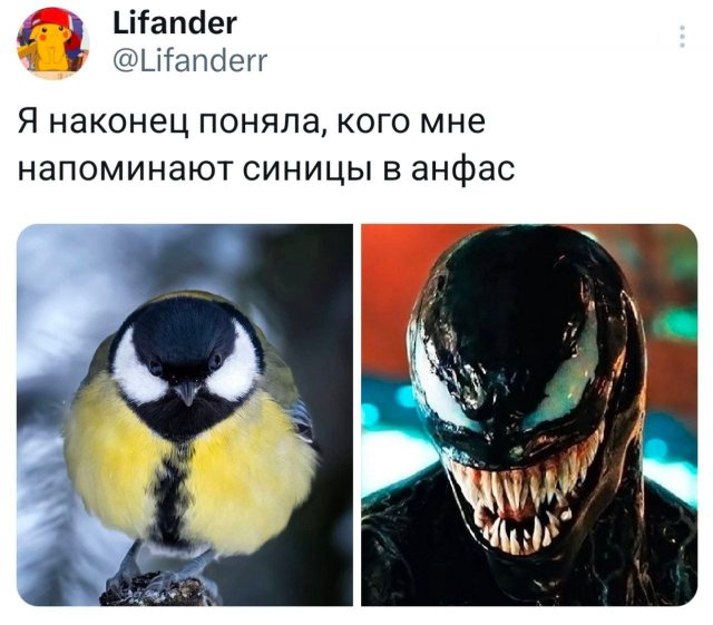 �������� �������� ������