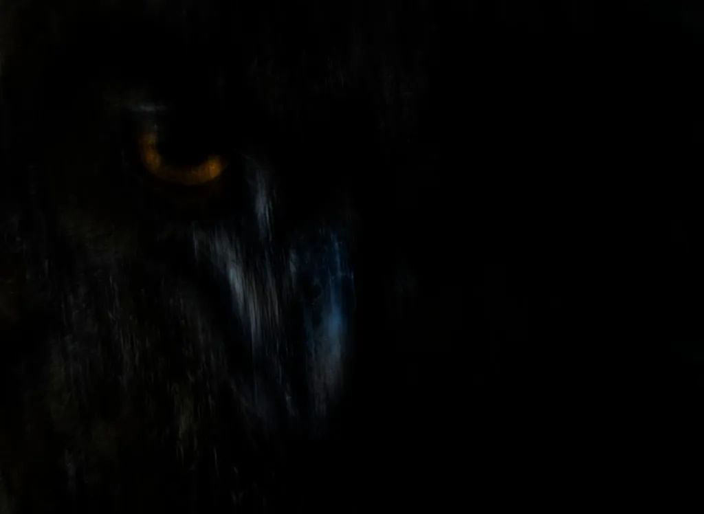 ���������� �������� ��������� ����� ������� ���� 2025�