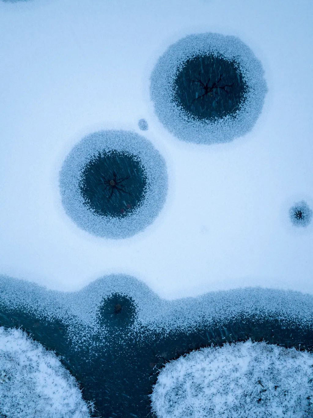 ���������� �������� ��������� ����� ������� ���� 2025�