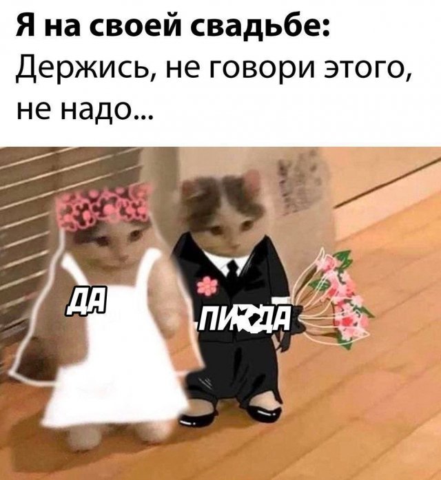 ��������� ������� ����