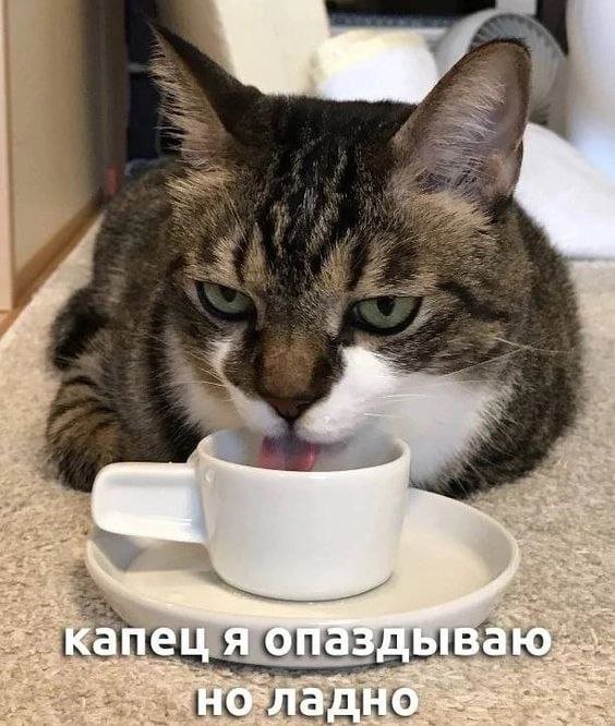 ��������� ������� ����