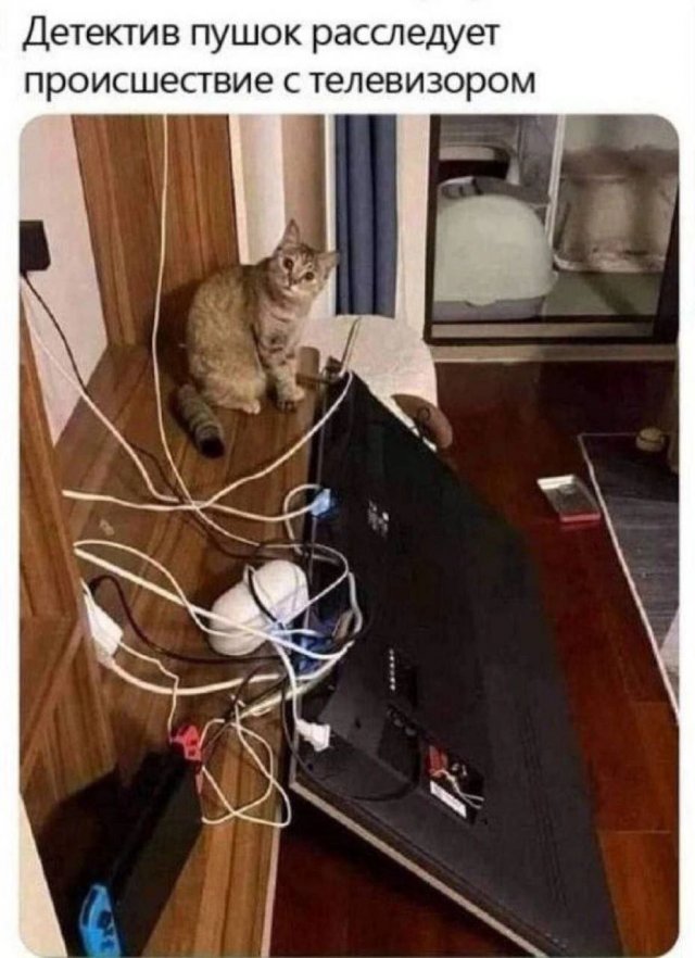 ��������� ������� ����