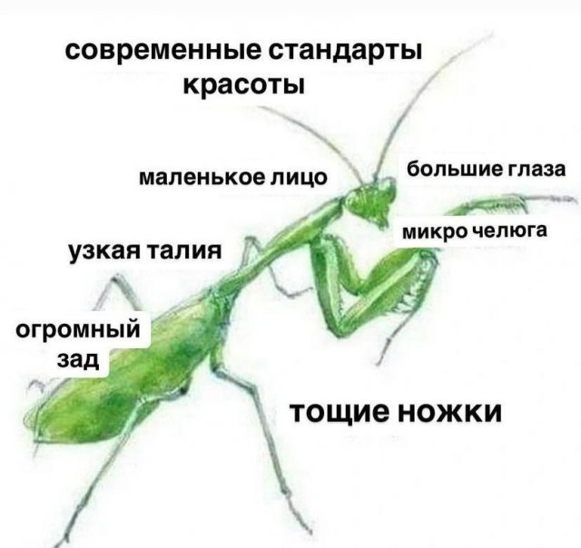 ��������� ������� ����