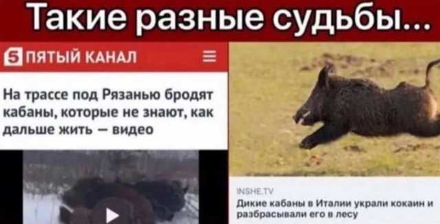 ������ ����� � ���� �� ����