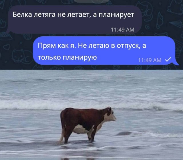 ������ ����� � ���� �� ����