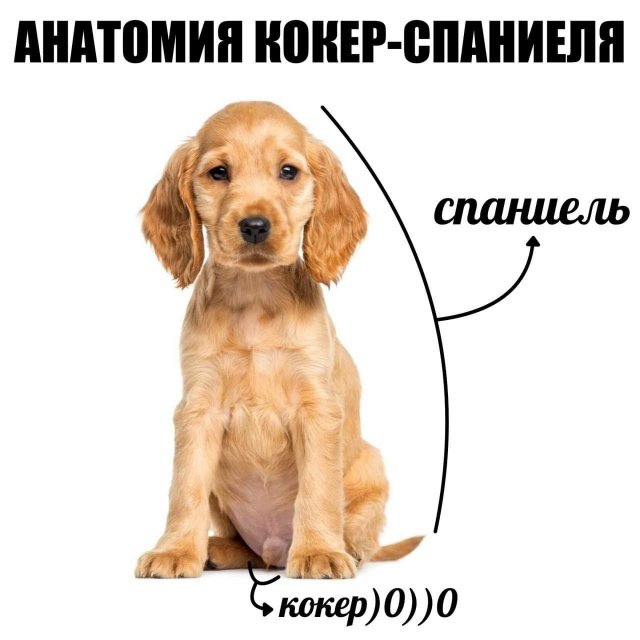 ������ ����� � ���� �� ����