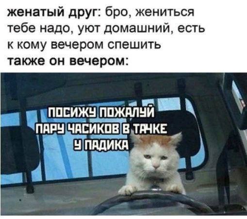 ������ ����� � ���� �� ����