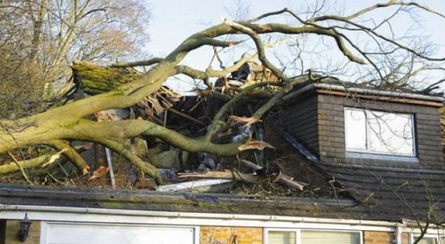 ���������� ��������