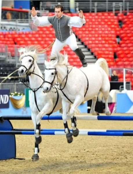 ���������� ��������