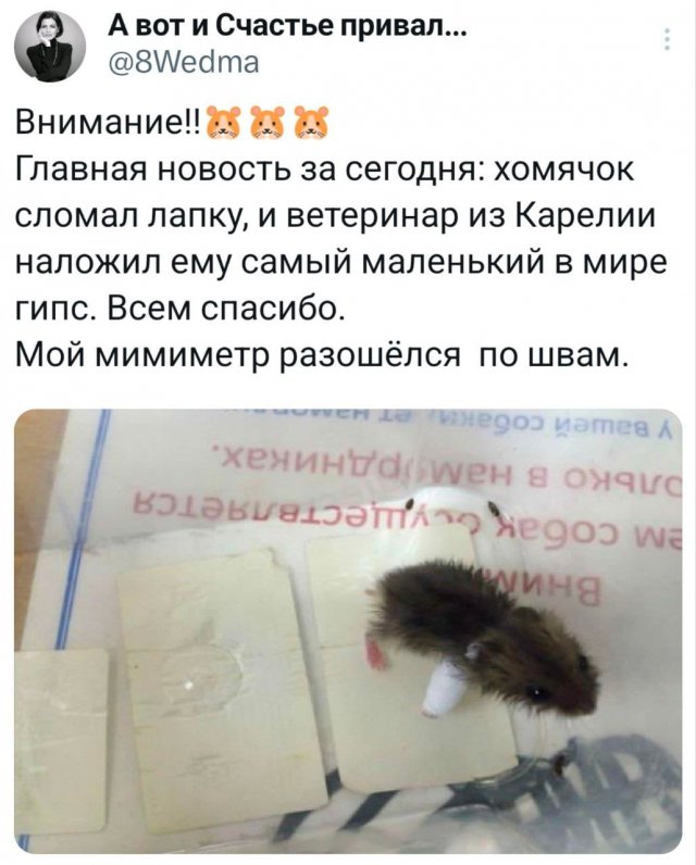 �������� �������� ������