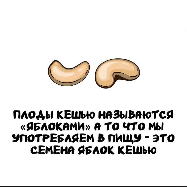 ���������� ����� �� ��� ������ �����