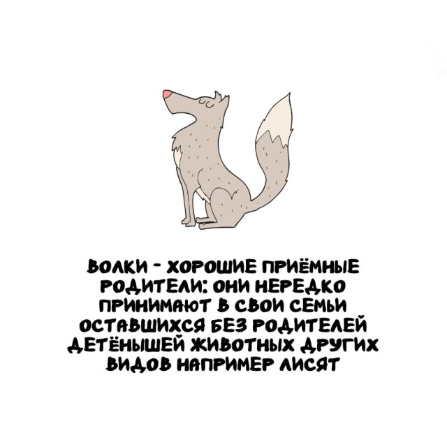 ���������� ����� �� ��� ������ �����