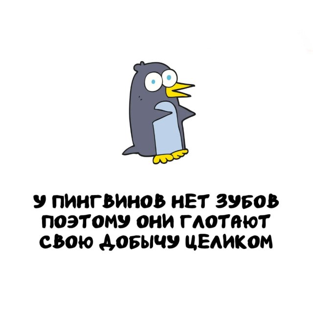 ���������� ����� �� ��� ������ �����