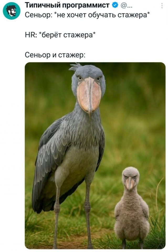 �������� �������� ������