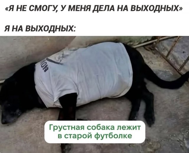 ������ ����� � ���� �� ����