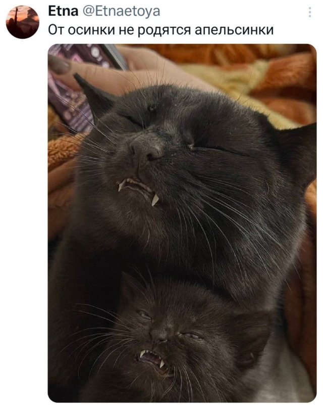 ������ ����� � ���� �� ����