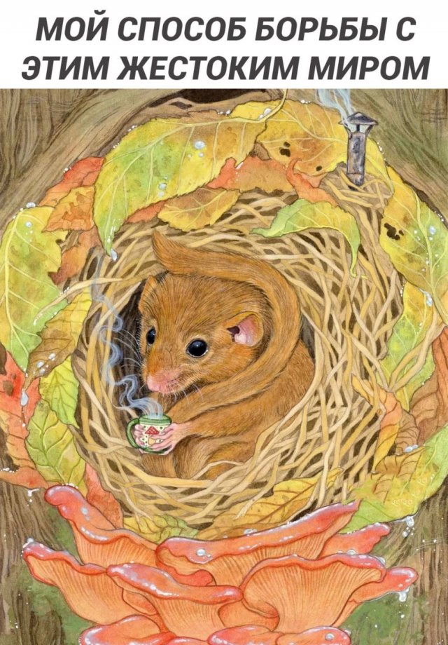 ������ ����� � ���� �� ����