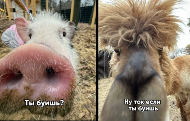 ������ ����� � ���� �� ����