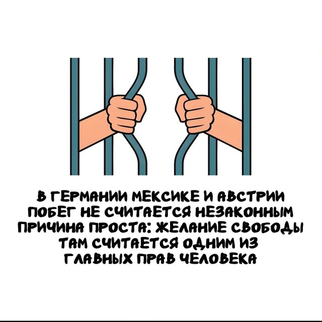 ���������� ����� �� ������ ����