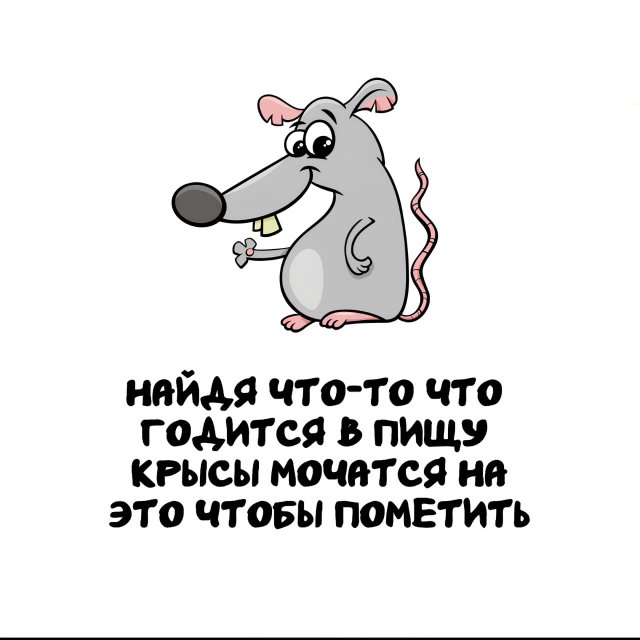 ���������� ����� �� ������ ����