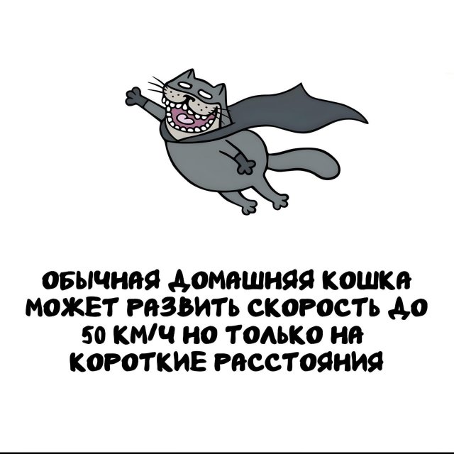 ���������� ����� �� ������ ����