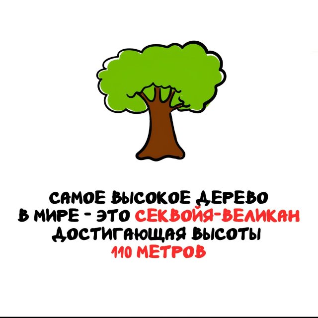 ���������� ����� �� ������ ����