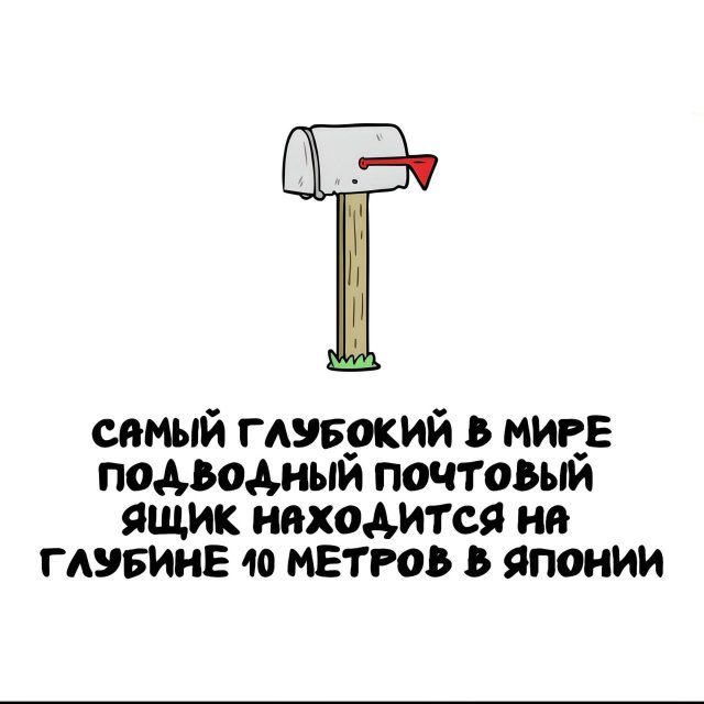 ���������� ����� �� ������ ����