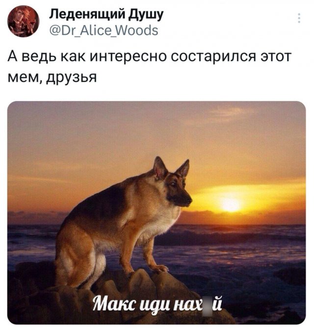 �������� ������� ������ ��� ���