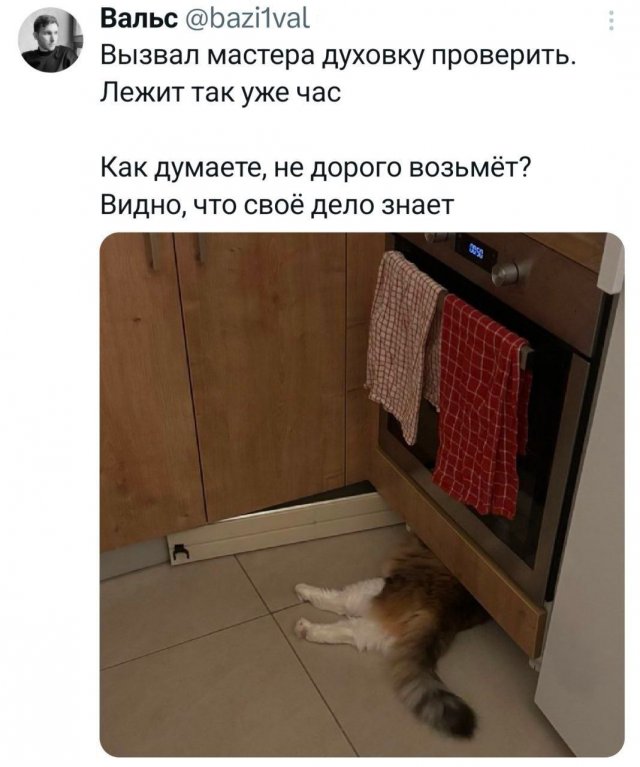 �������� ������� ������ ��� ���