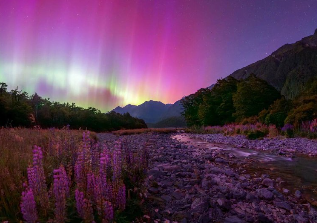 ������ �������� ������ ���� � ������� �����������