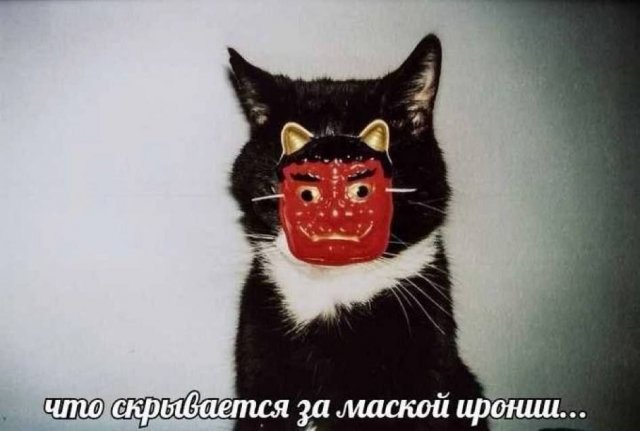 ���� � �����, ������� ������ ����