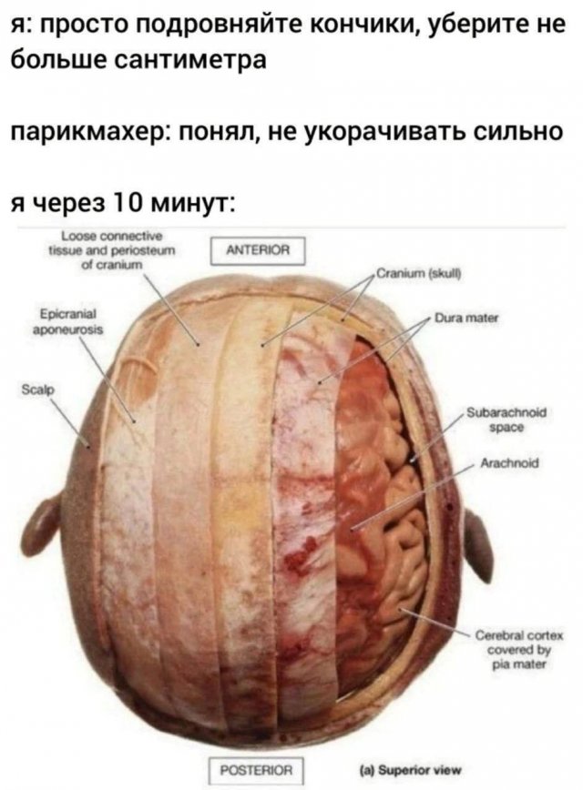 ���� � �����, ������� ������ ����