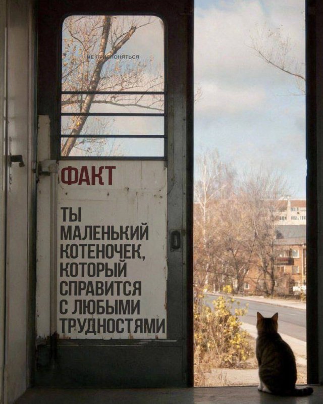 ���� � �����, ������� ������ ����