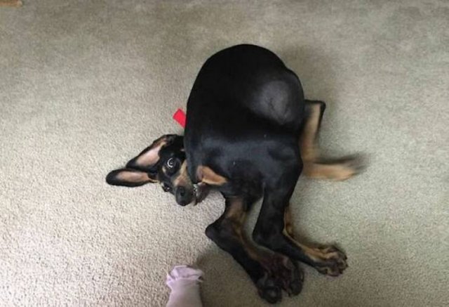 ���������� ��������