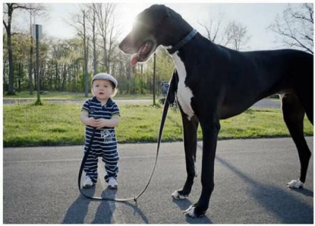 ���������� ��������