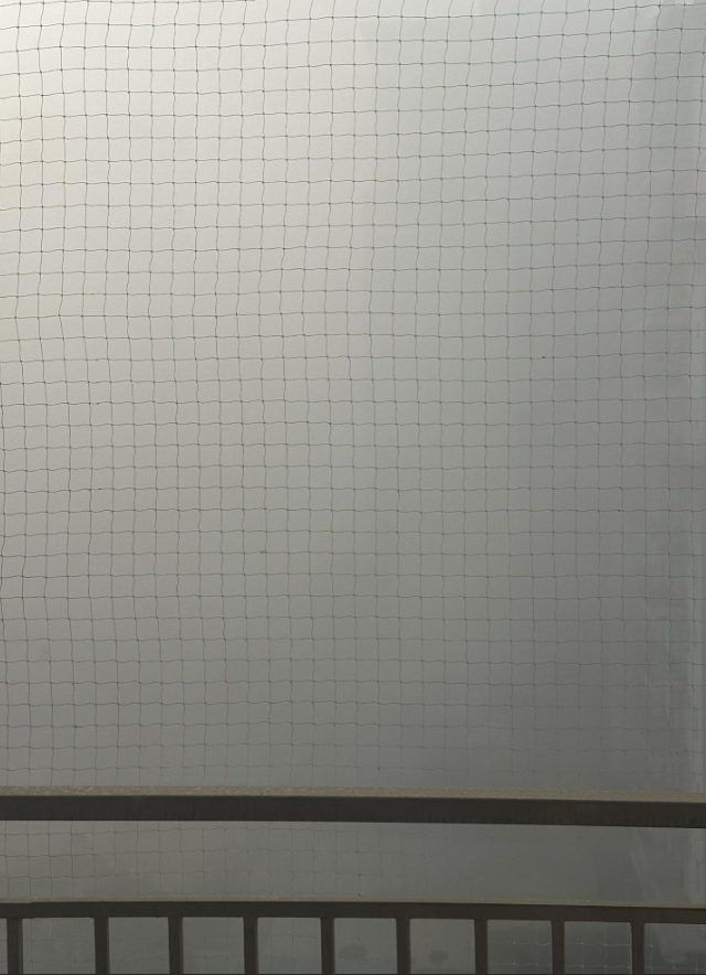 ��� � ������� � ����